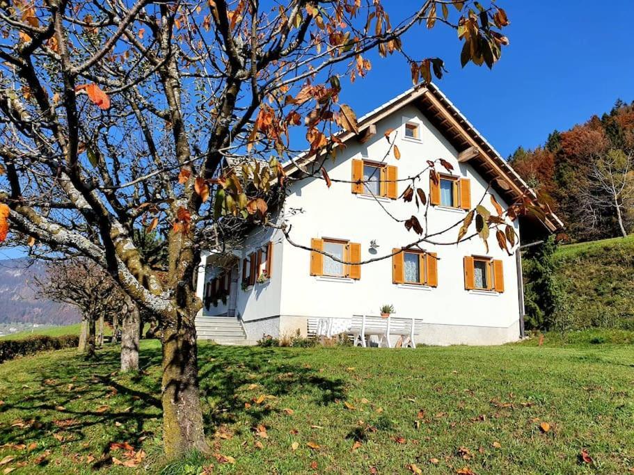 فيلا House Pucnk-Beautiful Countryside زلزنيكي المظهر الخارجي الصورة